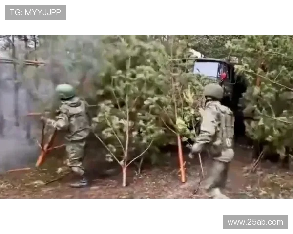 阿坎吉巴斯托尼抉择战博德自证